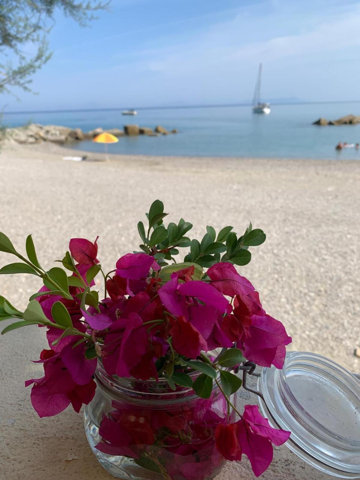 Testa Di Monaco Natural Beach Capo dʼOrlando Eksteriør bilde